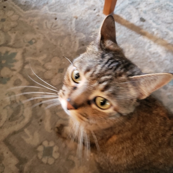 Just Breathe.. - Picture 4 of 5